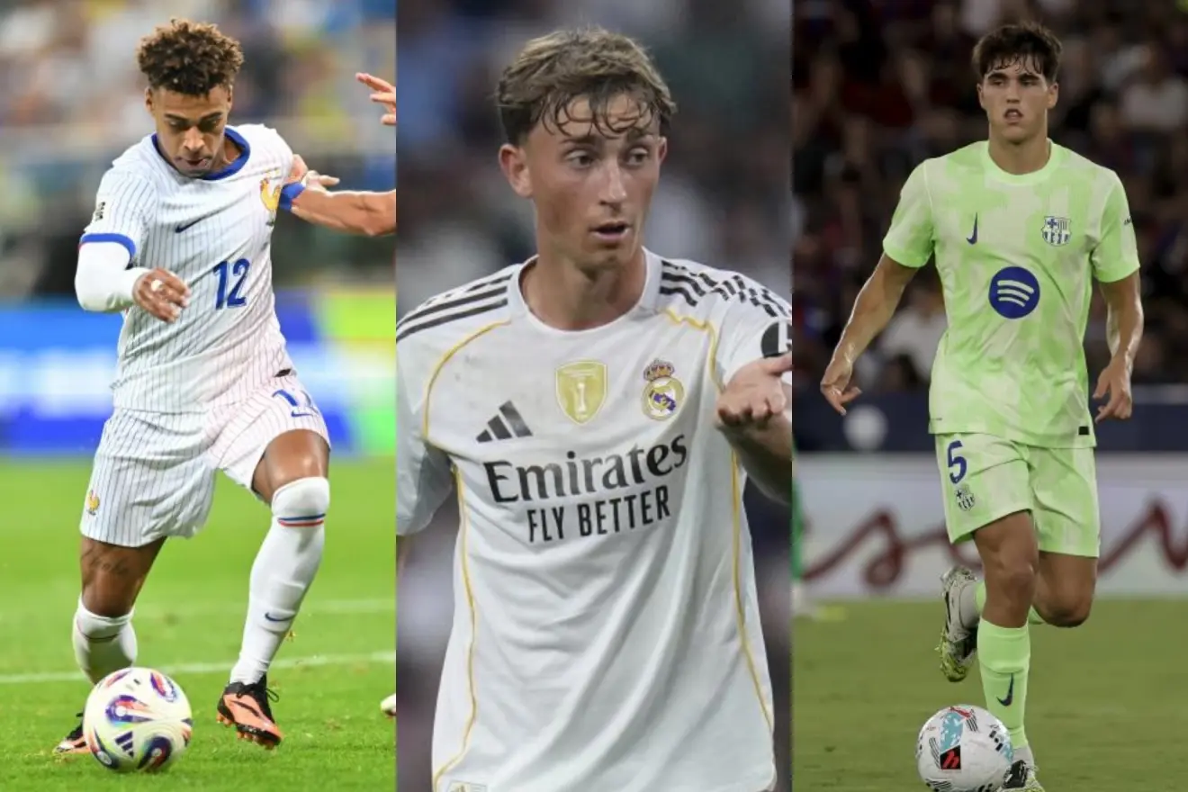 多维度参数, msn 多维度参数, msn